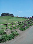 草坪 篱笆