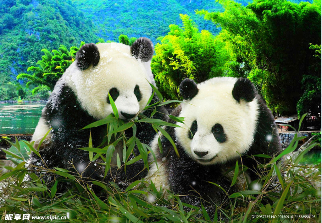 生物世界