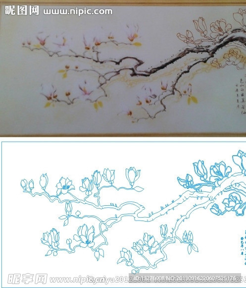 玉兰花