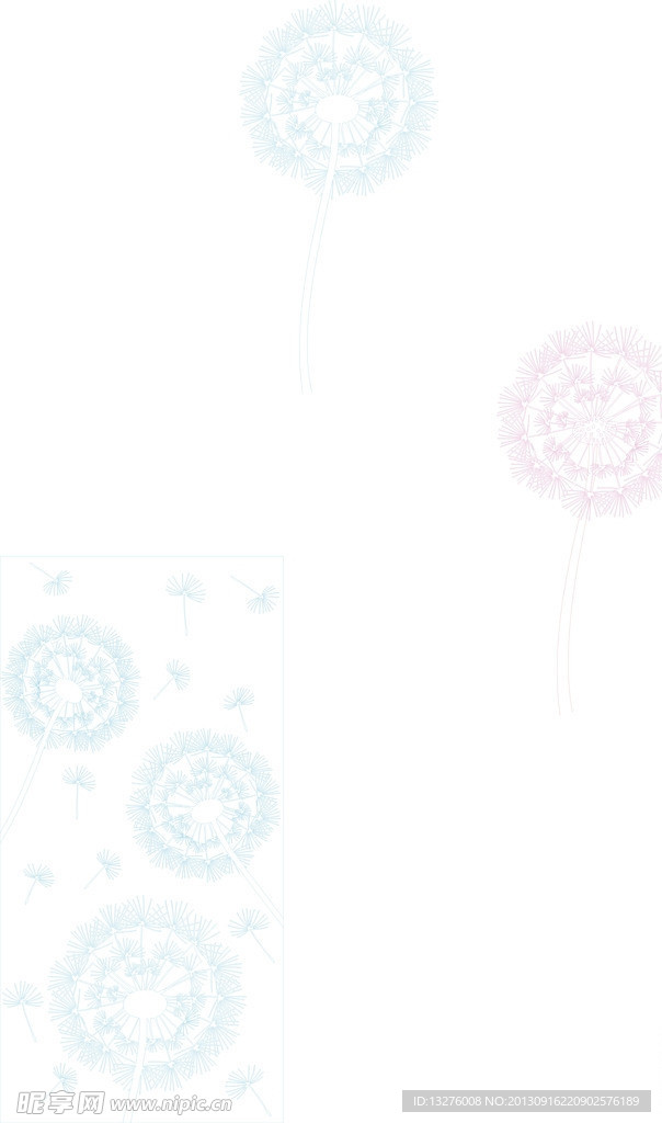 蒲公英