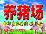 养猪场海报