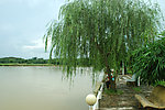 山庄小河流水