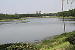 沙颖河畔