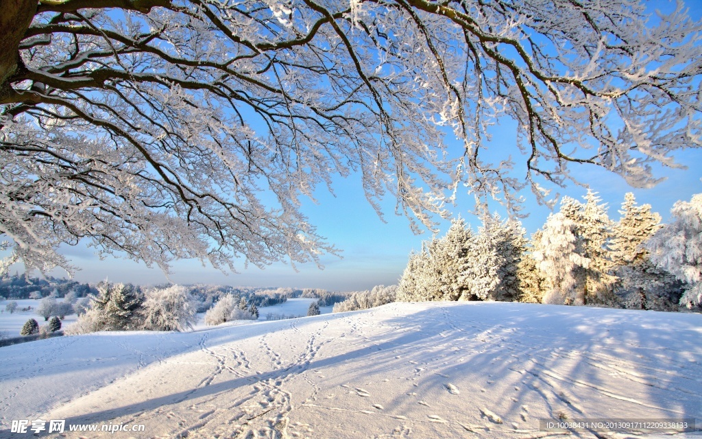 雪景