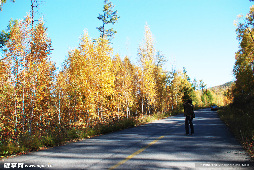 公路边秋景