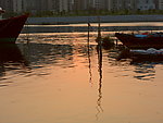 映射水面