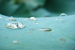 水珠