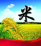 大米海报