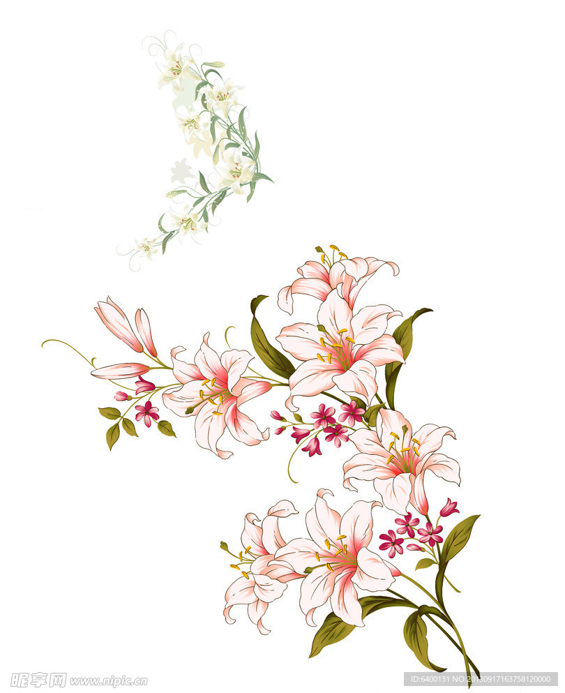 百合花