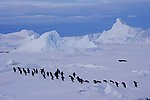 雪山