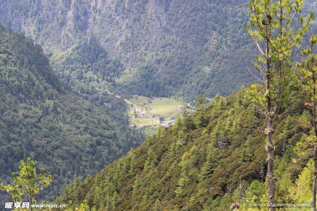 山顶