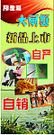 易拉宝 大闸蟹