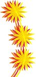 花纹