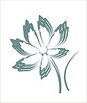 花纹