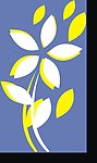 花纹