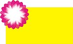 花纹