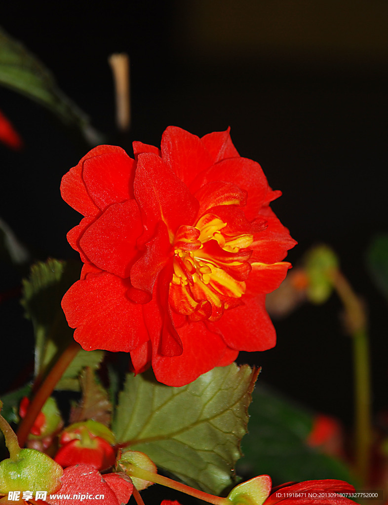 玻璃翠花
