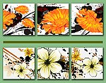 白色花三联画