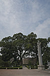 道观庭院