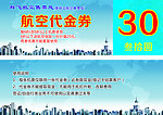 航空代金券 飞机 环