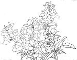 白描花卉
