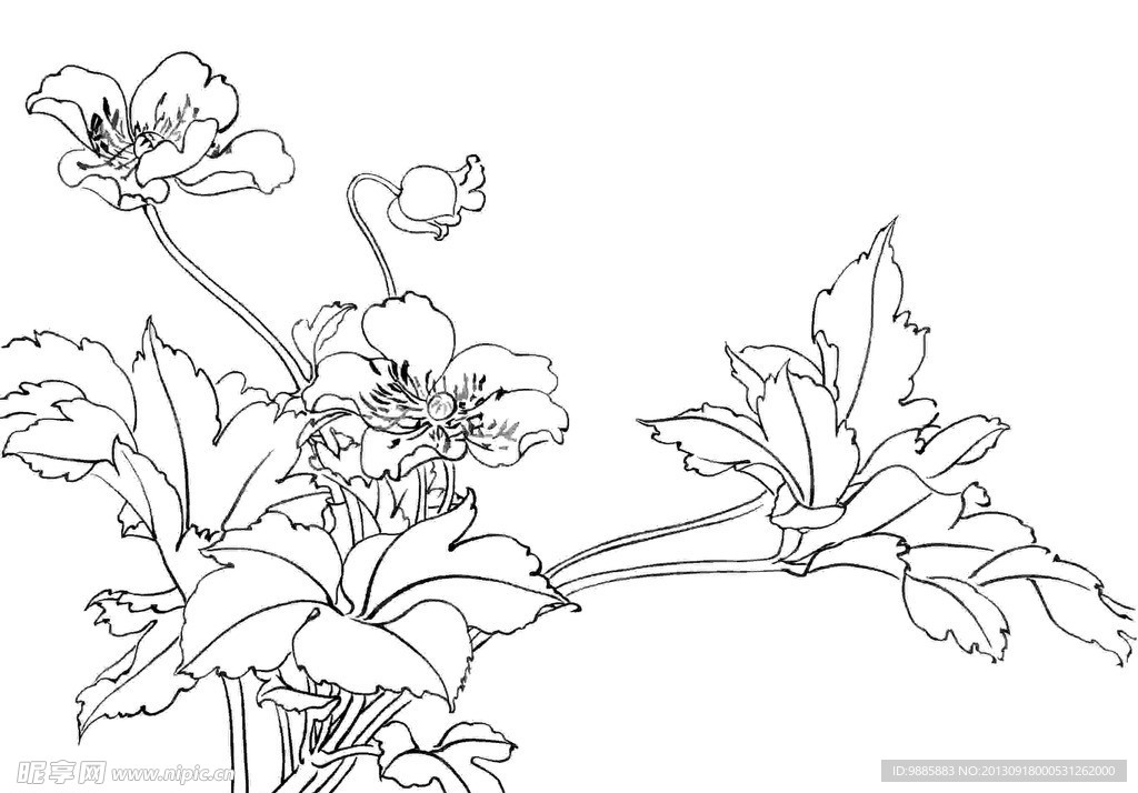 白描花卉