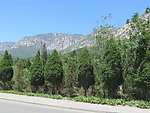 峻极峰风光