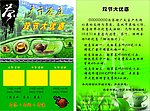茶庄宣传彩页