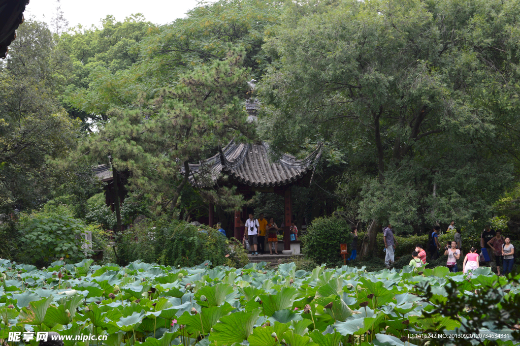 上海南翔古镇 古猗园