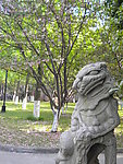 苏州 大学 风景