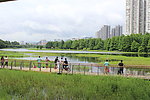 沼泽湖