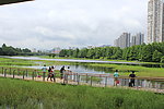 沼泽湖