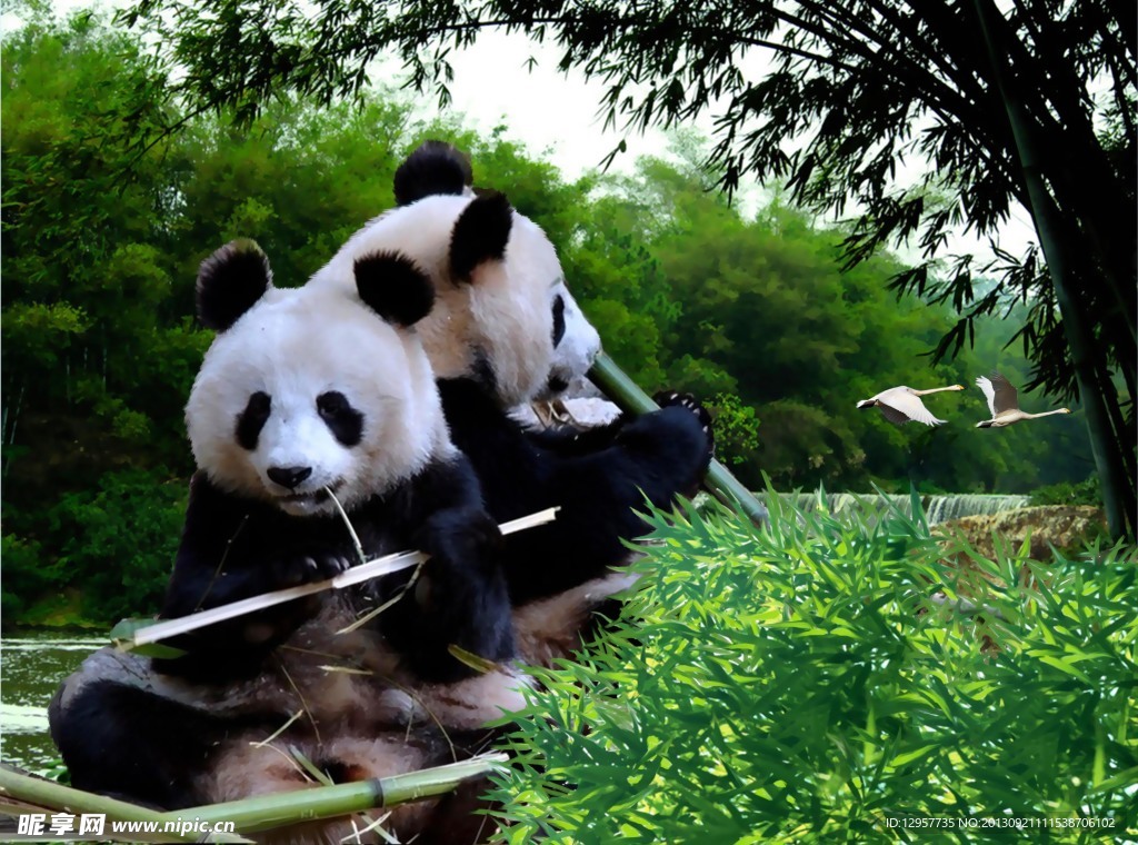 生物世界