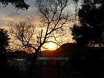 夕阳