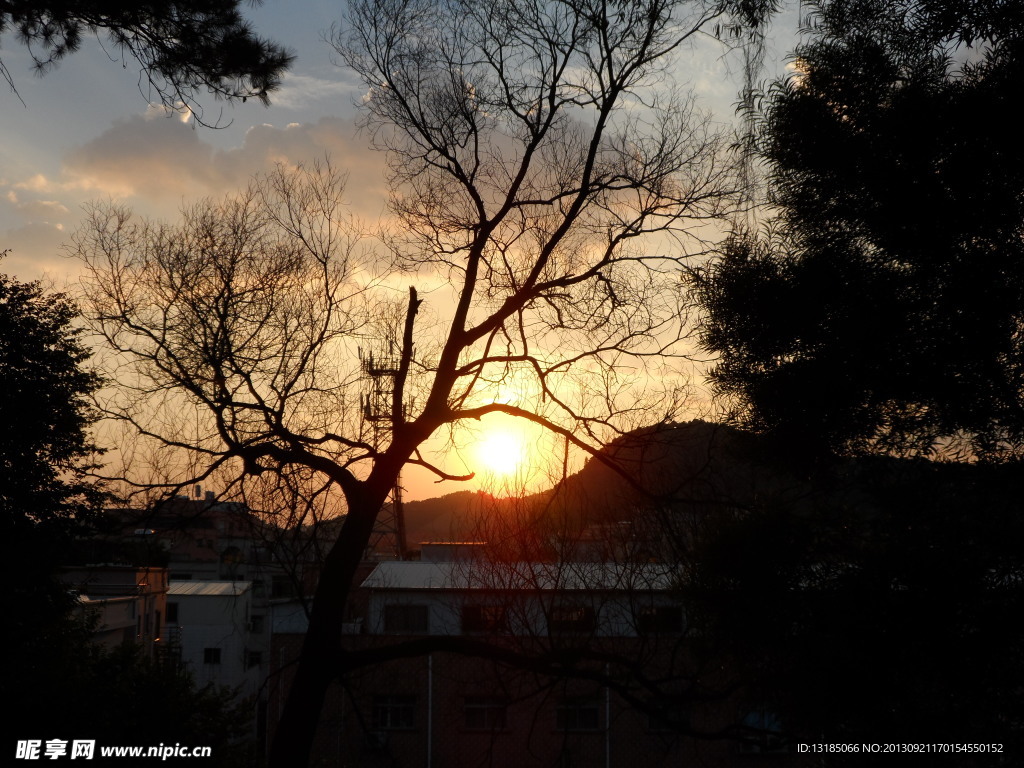 夕阳