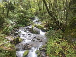 九寨沟山溪