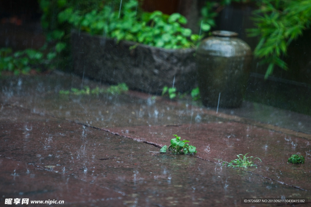 雨中