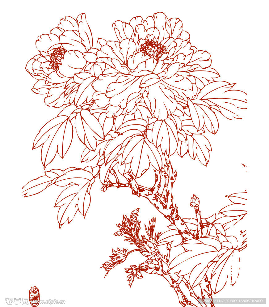 白描牡丹