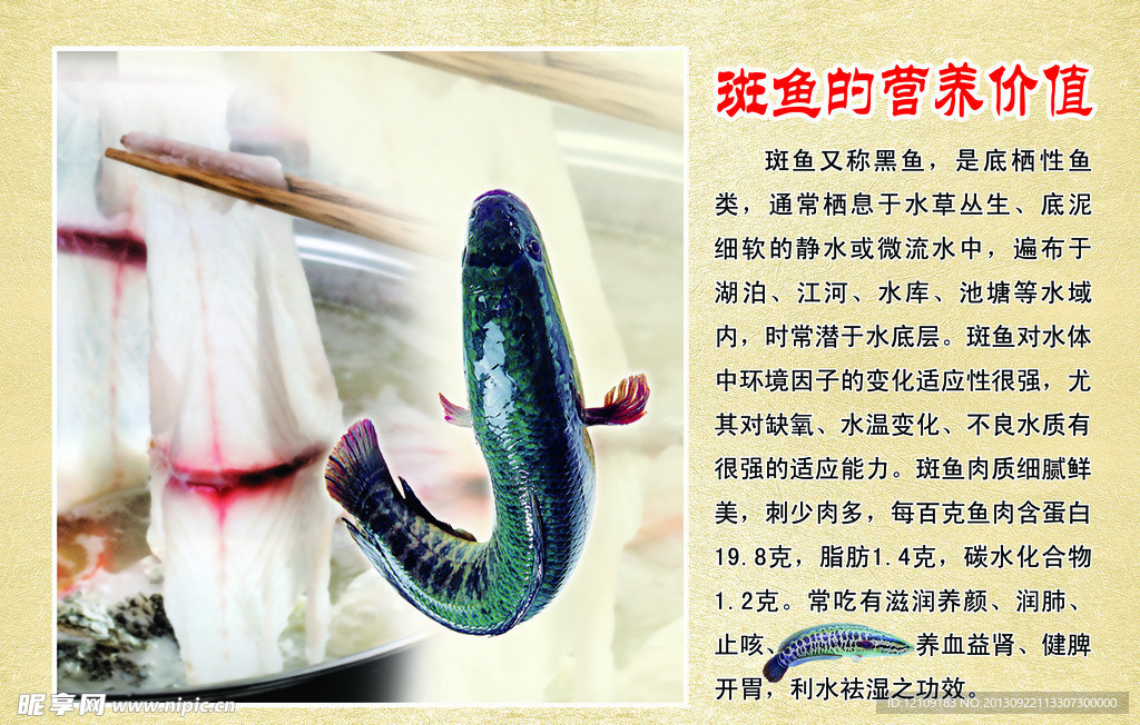 斑鱼