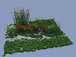 写实 草 芦苇模型