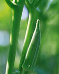 丰收季节