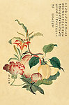 国画工笔花鸟