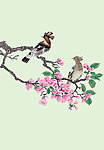 花鸟国画
