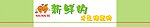 浅绿色门头