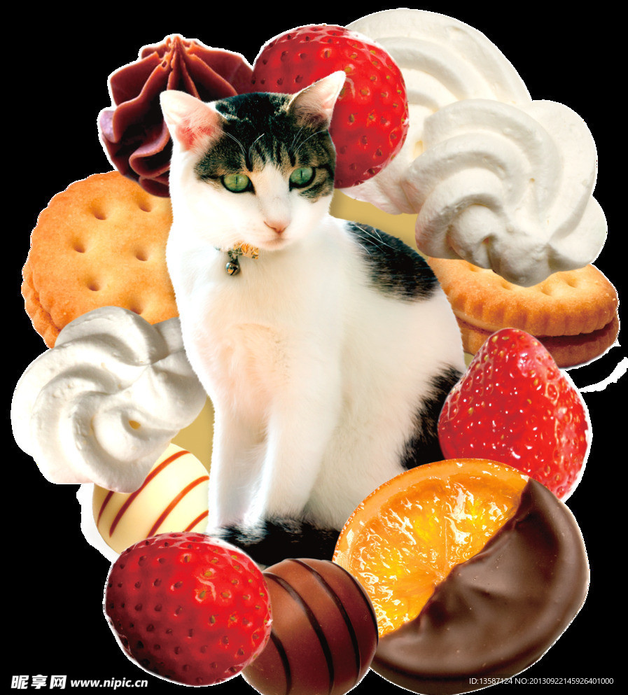 猫猫与食物