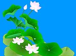 风吹荷花flash