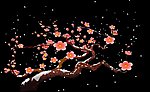 梅花雪景透明