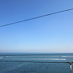 大海