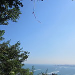 大海