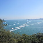 大海